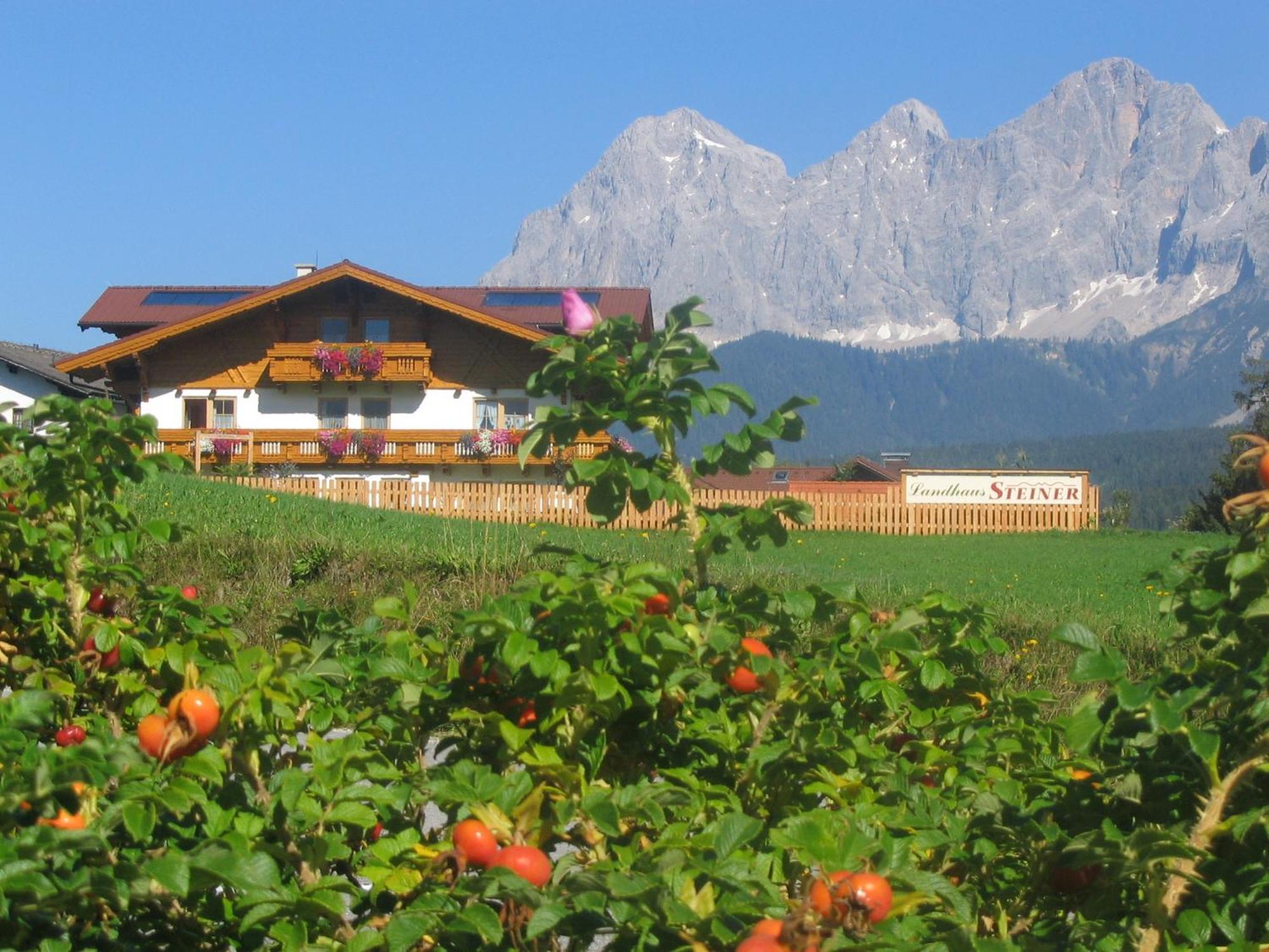Landhaus Steiner Schladming Luaran gambar
