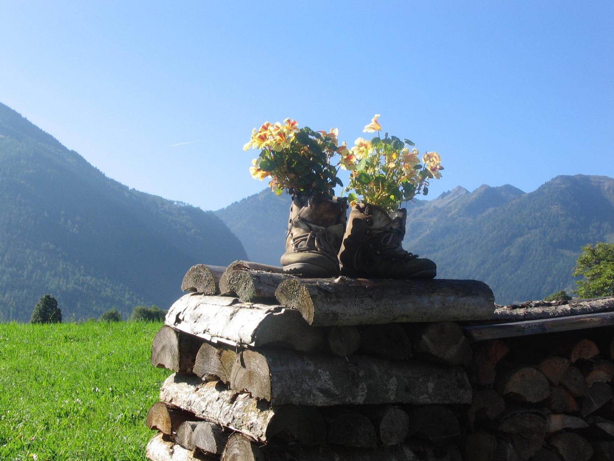 Landhaus Steiner Schladming Luaran gambar