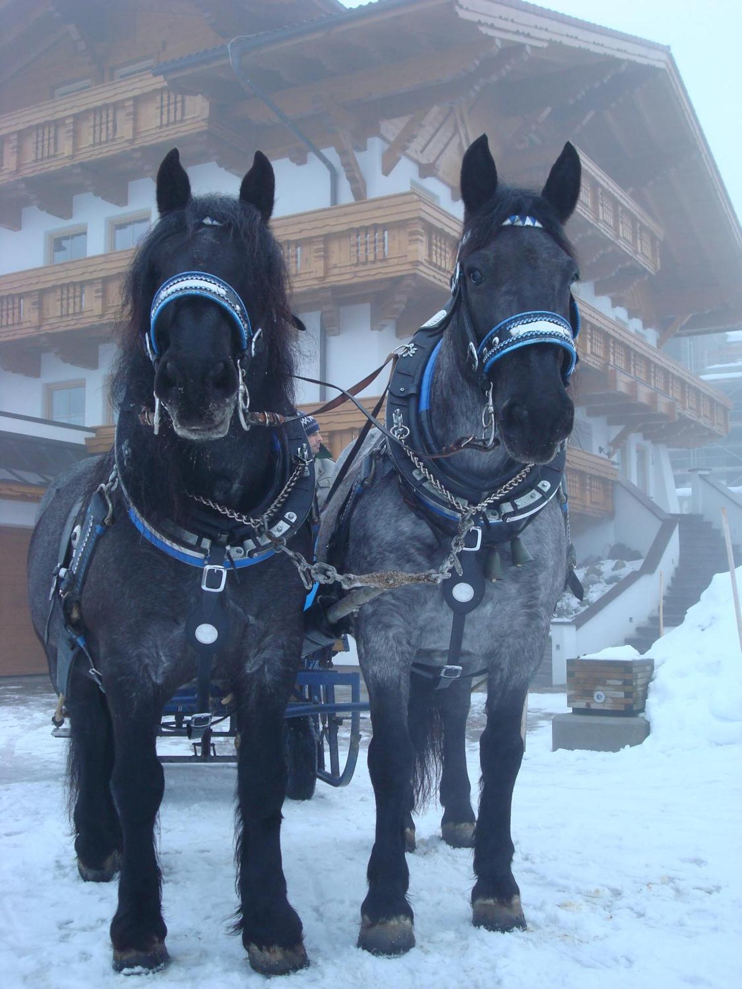 Landhaus Steiner Schladming Luaran gambar